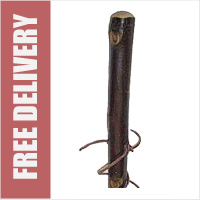 Chestnut Hiking staff with Bark